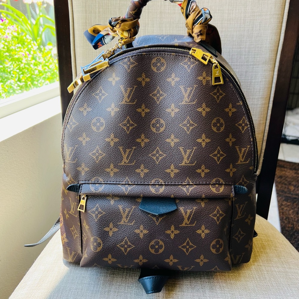 Louis Vuitton Palm Springs MM 💋